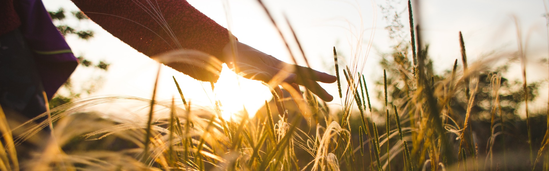 Das Mädchen berührt das Gras beim Spaziergang auf der Wiese