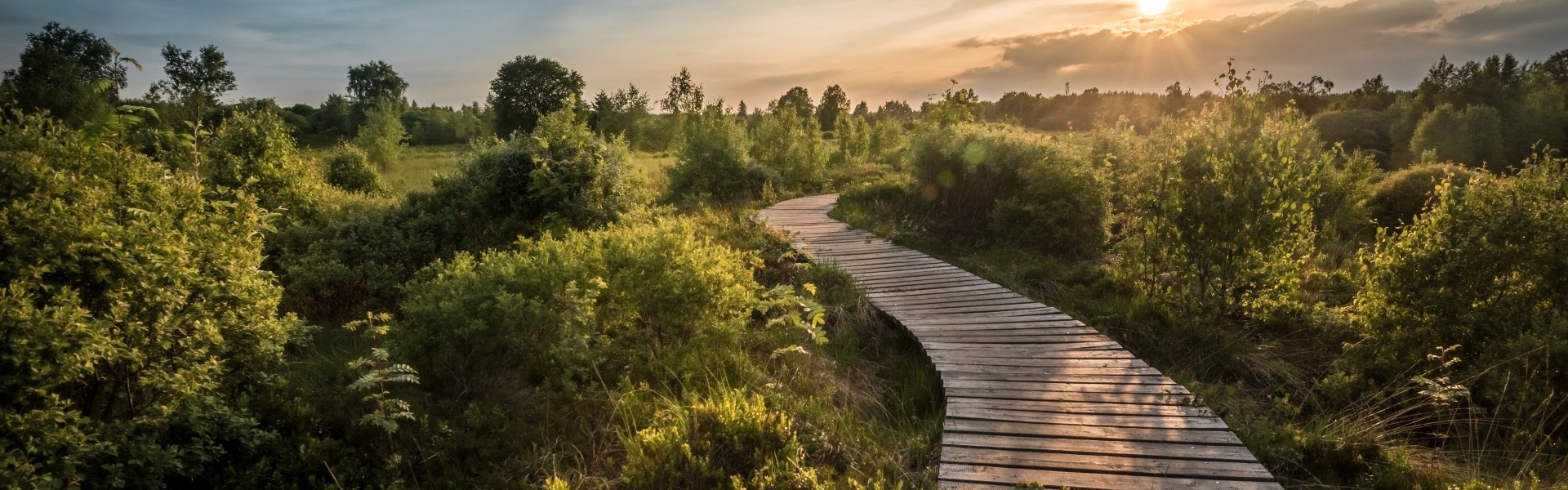 Wege und Pfade in der Hohen Venn